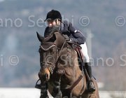Whitaker W  Fandango TosTour2013- S5 2804 : Arezzo, Arezzo Equestrian Centre, Fandango, Toscana Tour 2013, Whitacker William, foto di Stefano Secchi ©